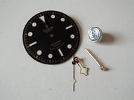 Heritage Red Bay Watch Case Dial , Crown and Hands